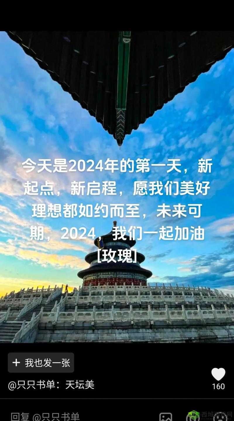 国产矿转码专一 2024:技术创新与应用的新起点