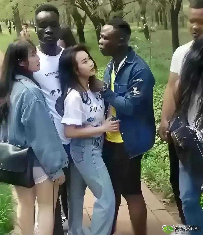 国产婬荡交换 XXXⅩ 黑人:探索多元文化的激情与挑战