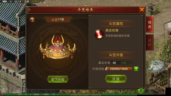 黄金裁决斗笠培养攻略，如何高效升阶