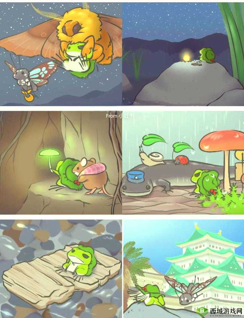 旅行青蛙，呱呱的奇妙朋友圈大揭秘