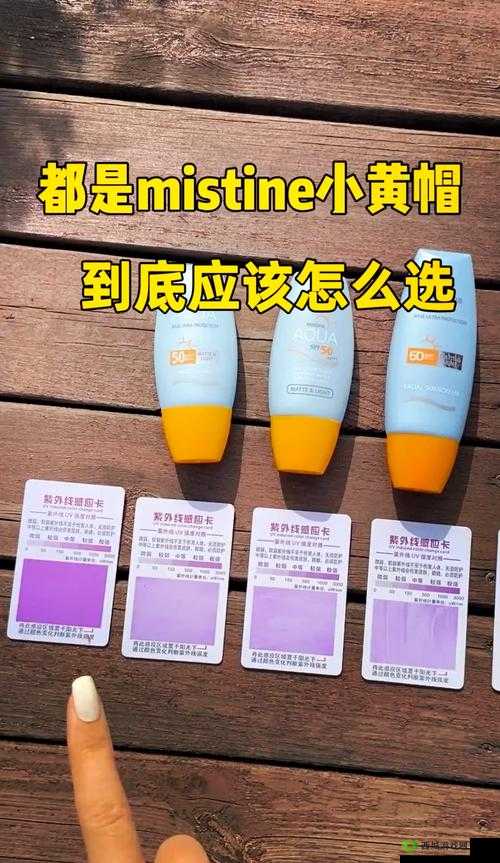 蜜丝婷大草莓与小草莓对比之全方位解析及差异详谈