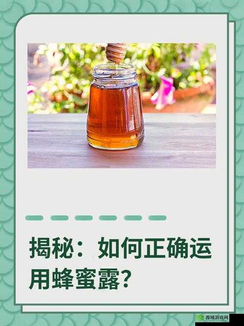 废土危行头晕掉血解决方法，吃花与蜂蜜的详细探讨