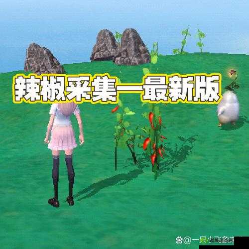 创造与魔法朝天椒位置详解，极乐岛与月琴岛的探险指南