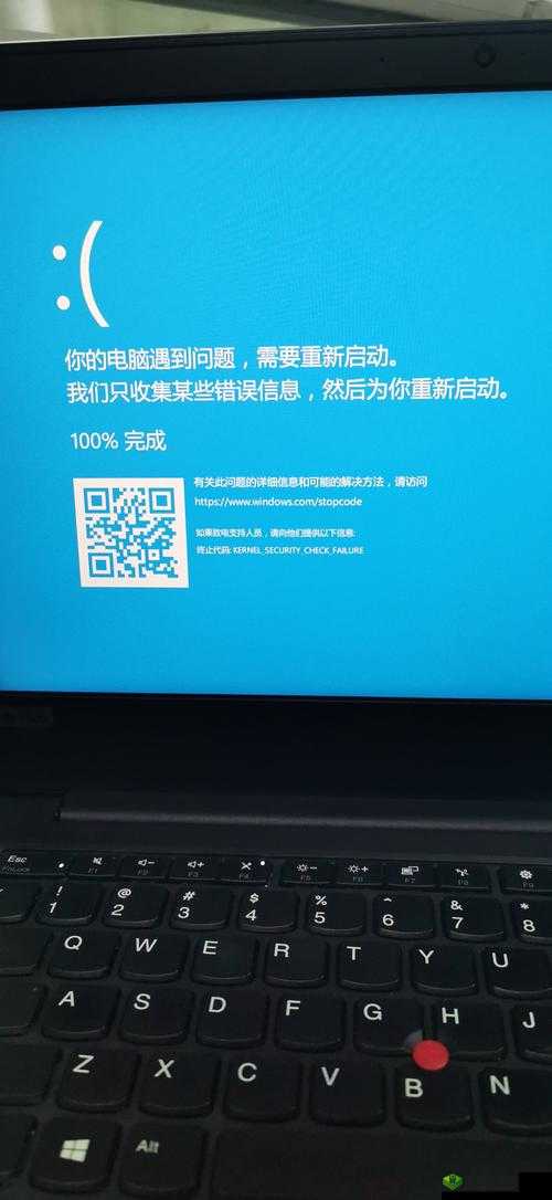 终结者2蓝屏闪退之谜，探寻游戏异常的根源