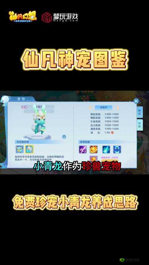 仙凡幻想前期宠物技能攻略，65级宠物技能打法全解析