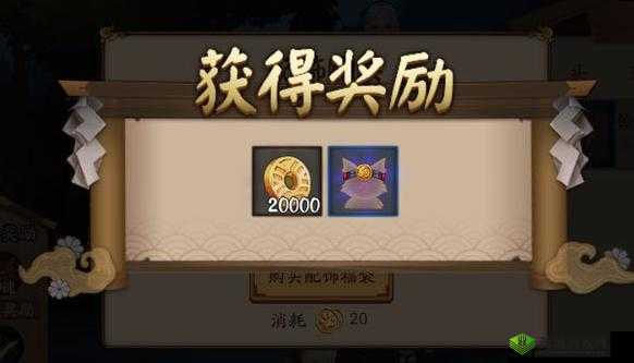 阴阳师手游购买福袋送配饰，宠物配饰使用说明在资源管理中的重要性及优化策略
