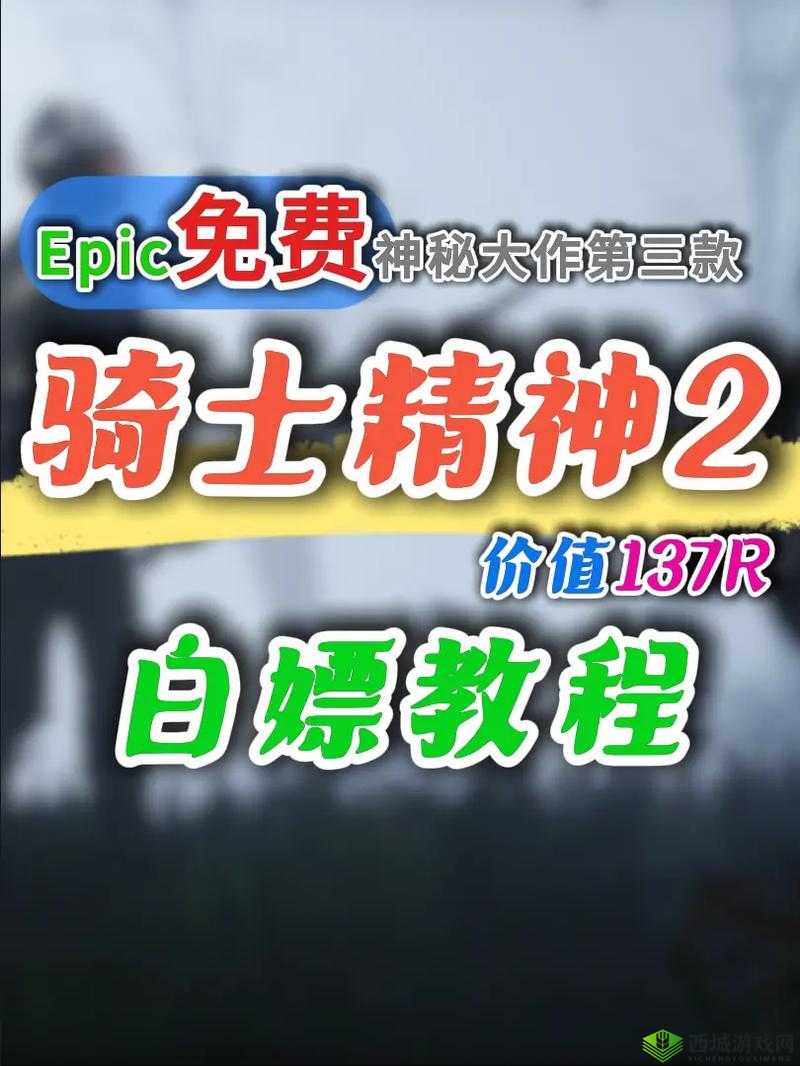 骑士精神 2 独家技巧分享:为何惨遭女主播白嫖?
