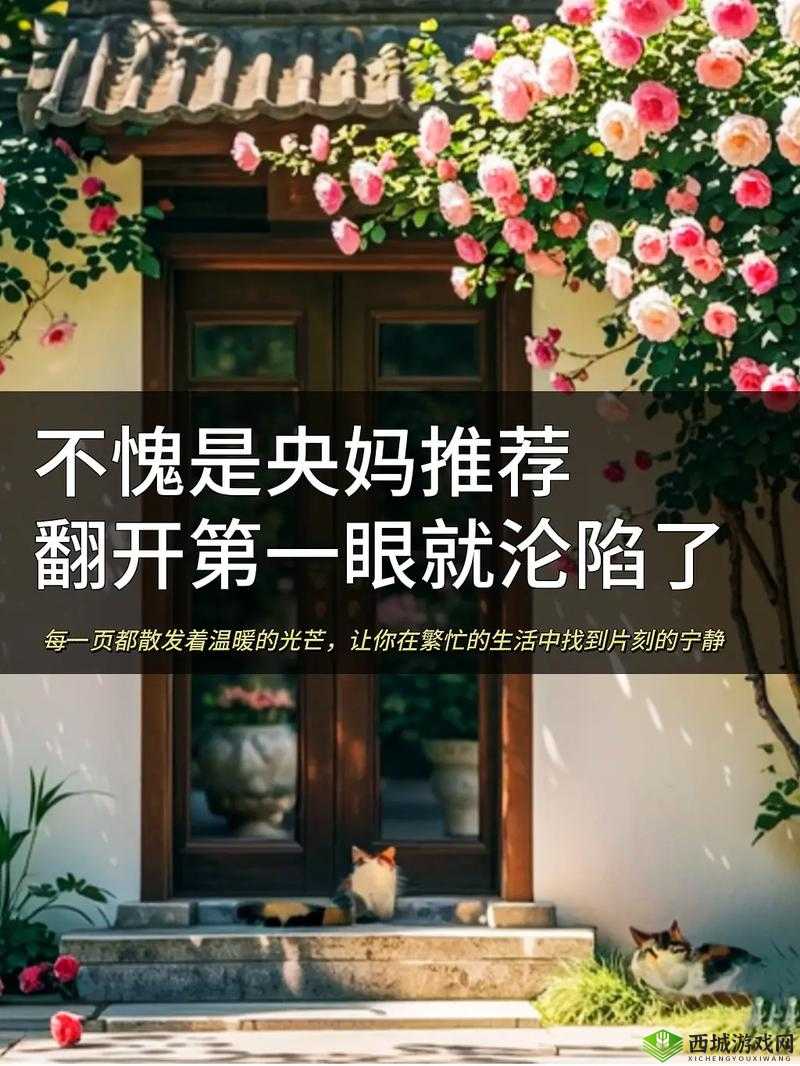 8x8 海外视频:带你领略不一样的世界