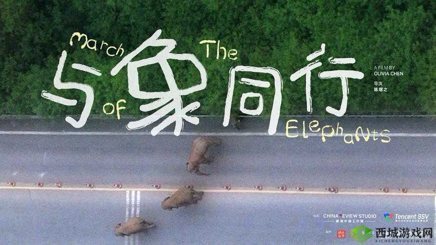 伊甸园大象传媒:探索独特影视魅力与精彩故事