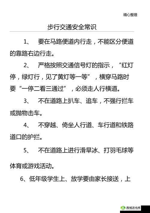 光荣使命，单排夺冠，步行与开车安全大比拼