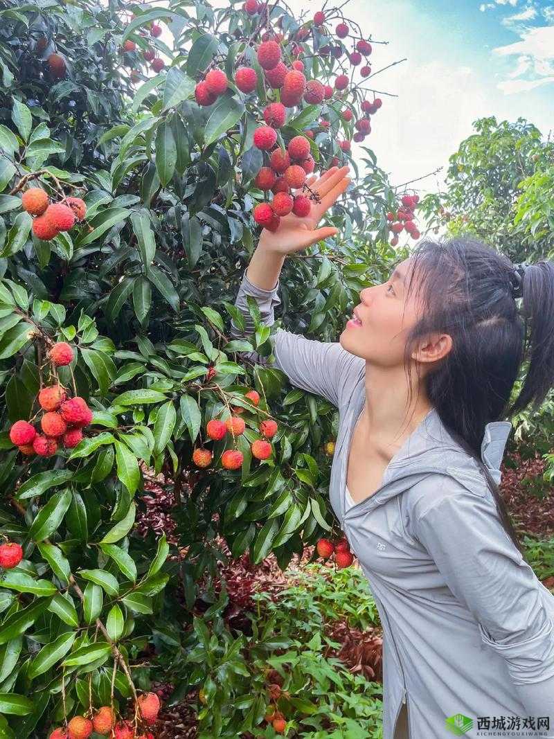 荔枝视频在线观看视频在线播放:海量精彩视频等你来欣赏