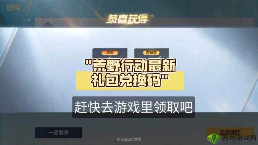 荒野行动游戏卡顿与优化策略