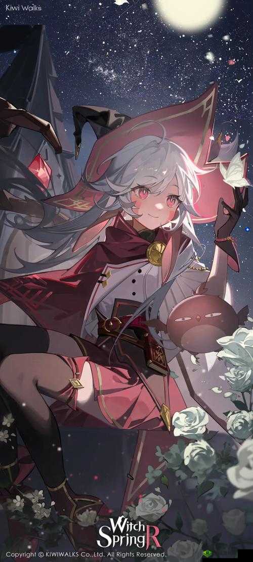 魔女之泉3，灵魂石升级与生命力上限提升全攻略