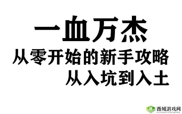 一血万杰魂力快速恢复技巧与灵庙的重要性及高效管理