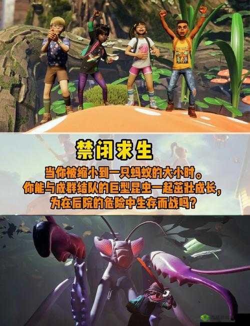 暗夜 pro 官网，挑战你的游戏极限