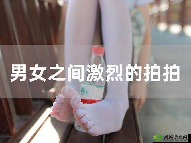 拍拍拍拍完整视频播放免费,哪里可以找到?热门视频免费观看渠道大揭秘