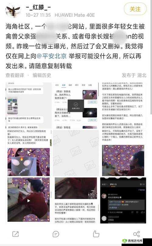 海角社区乱亲视频免费播放引发热议,网友热议背后真相与影响分析