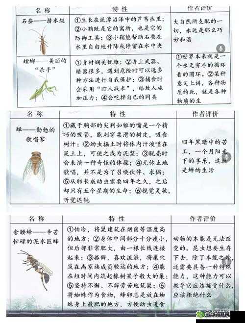 悠长假期昆虫分布全解析，探索自然之趣，捕捉珍稀之虫