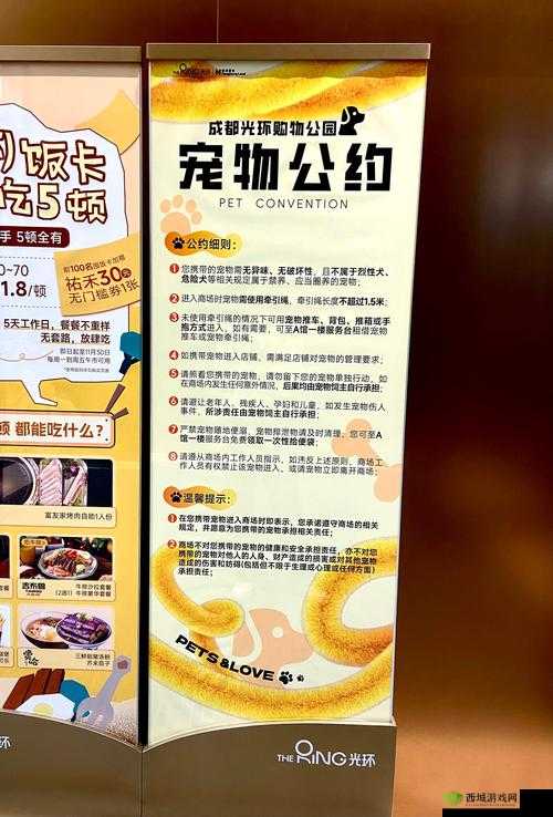 悠长假期，宠物好感度与环境值的双赢策略