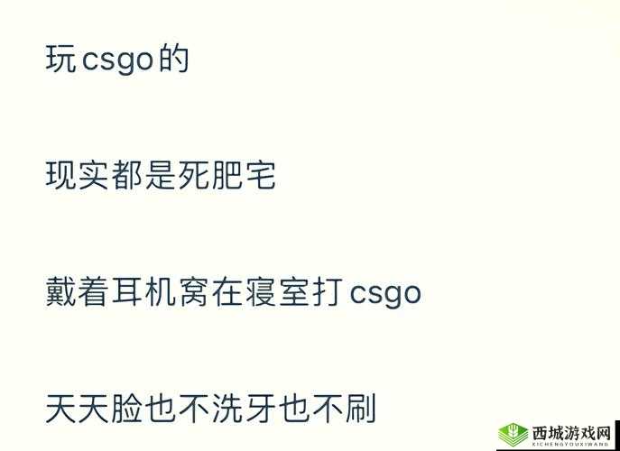 :暴躁日本老阿姨csgo爆笑操作实录|反差萌技术流解析,日本电竞达人的另类实战技巧解析:完整保留用户指定关键词暴躁日本老阿姨csgo,通过爆笑操作突出内容趣味性,反差萌技术流强化人设反差与专业度,加入日本电竞达人拓展地域关联词,另类实战技巧暗示教学价值整体结构采用竖线分隔主副,既符合移动端阅读习惯又自然融入长尾关键词,满足SEO优化需求的同时规避敏感字眼