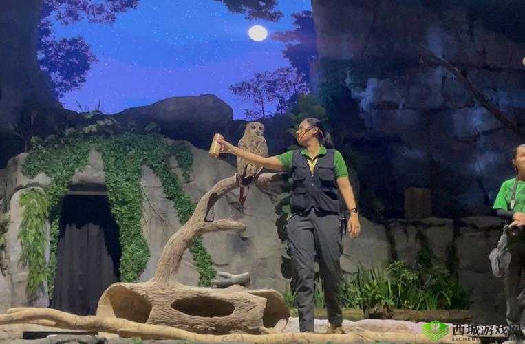 Samsara Room猫头鹰怎么转？猫头鹰转头技巧攻略